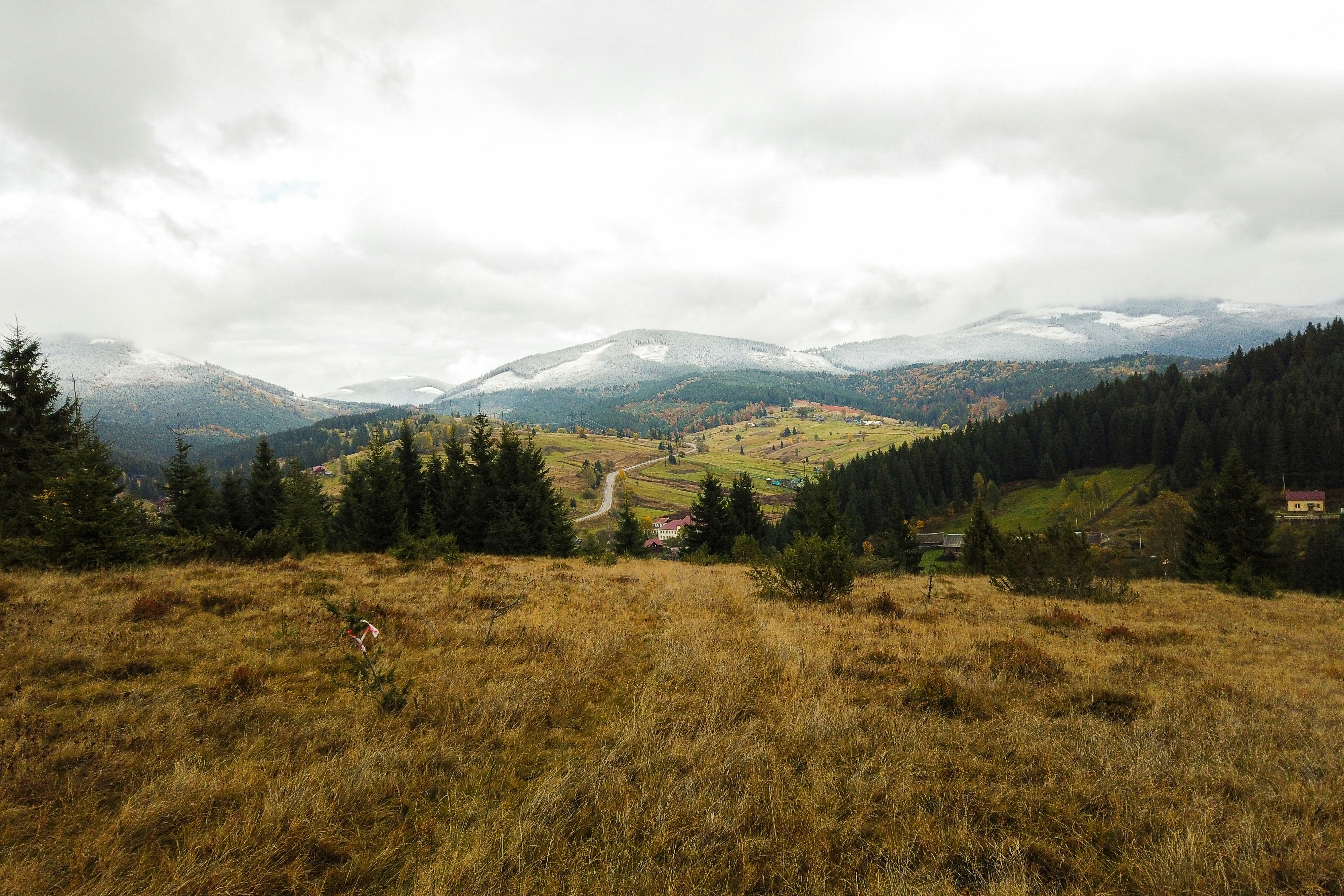 Photo by alinabelogolova