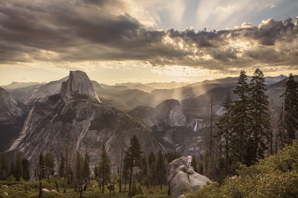 crepuscular rays