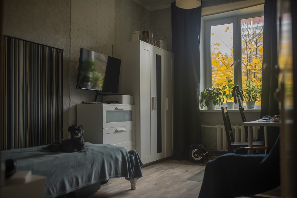 Flat Screen Tv On Tallboy Dresser Beside Wardrobe And Bed Photo