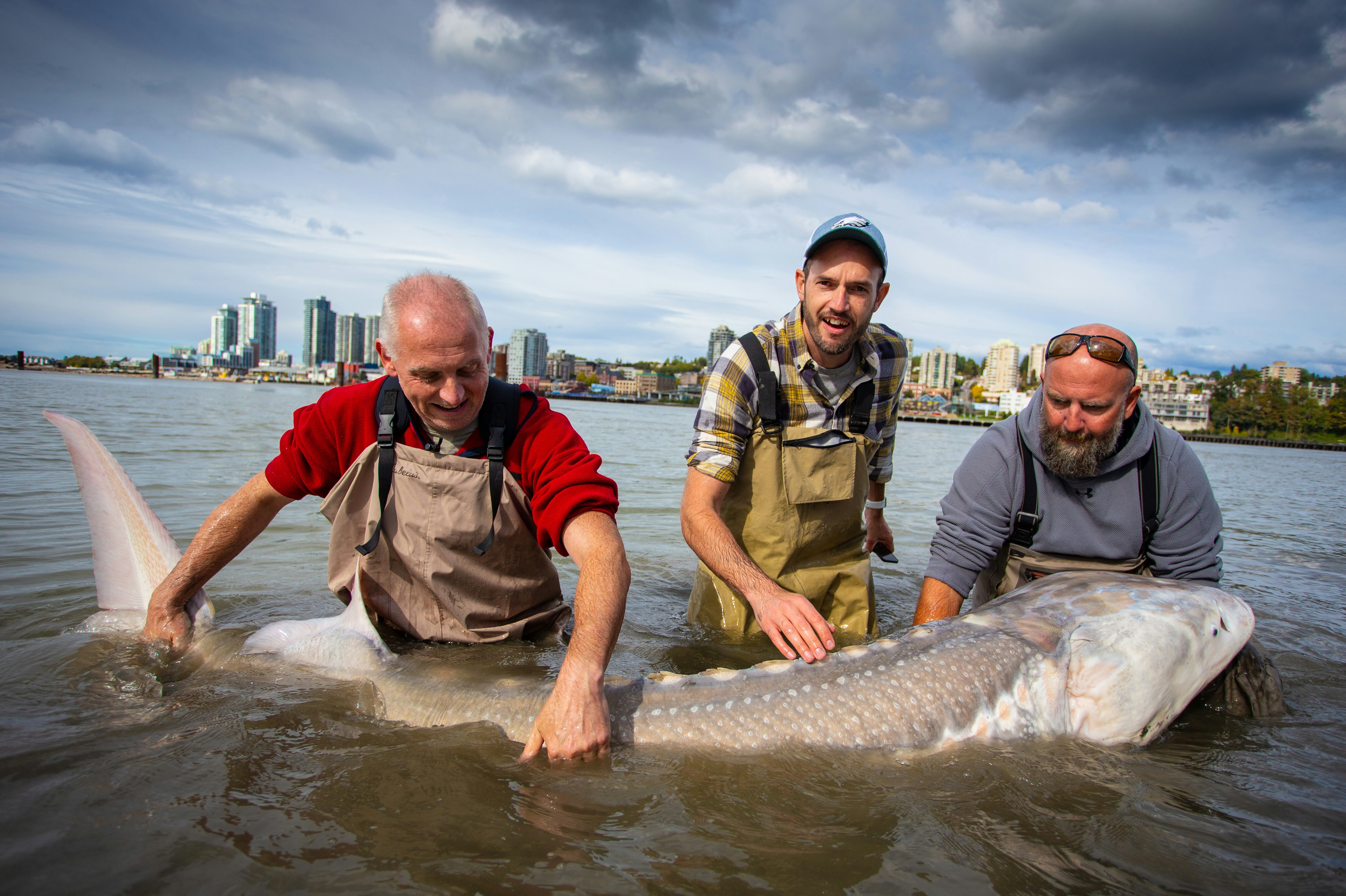 A Guide to Bonneville Dam Sturgeon Fishing