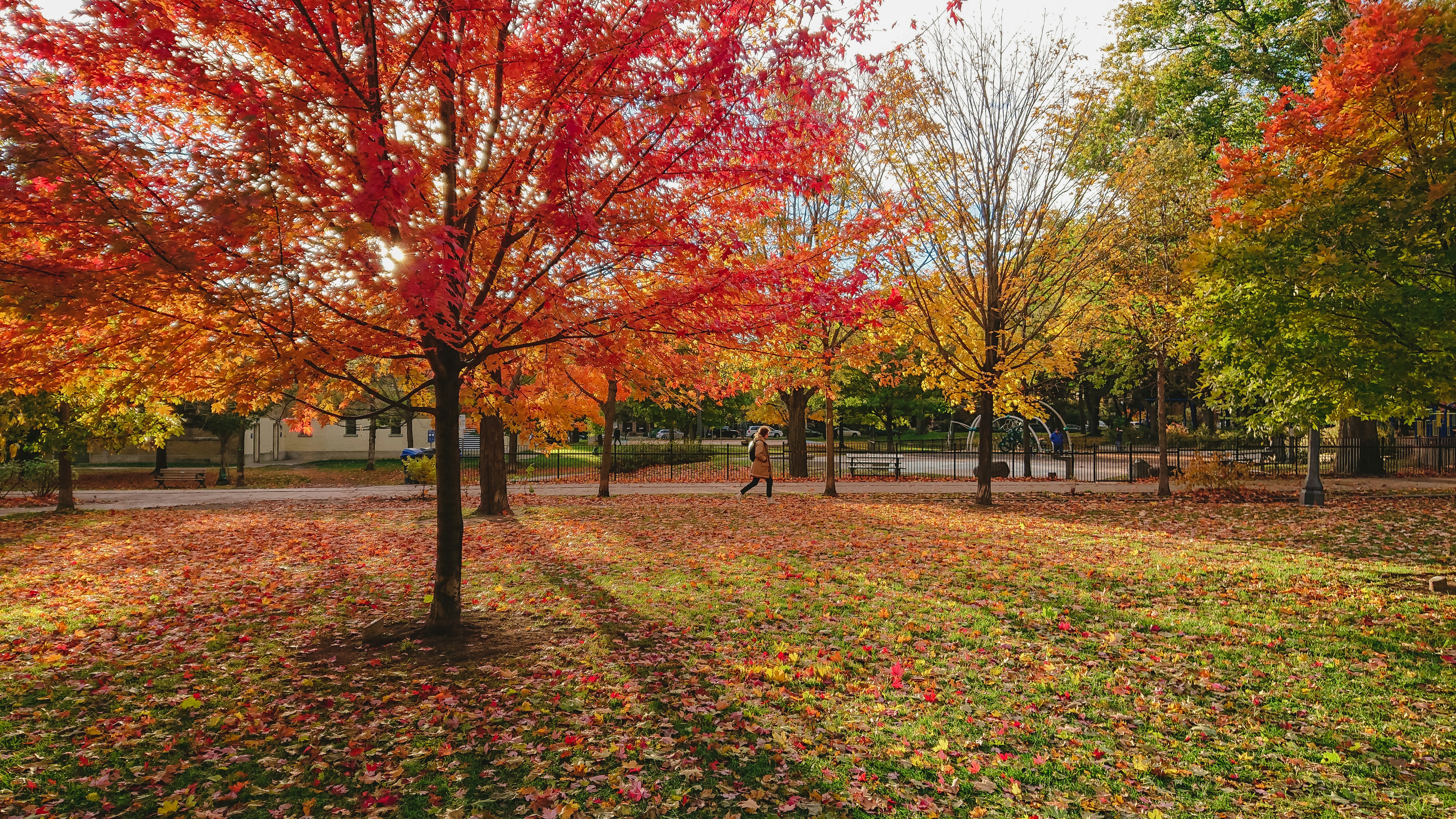 Photo by briannjoness