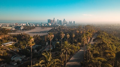 The palms view - From Drone, United States