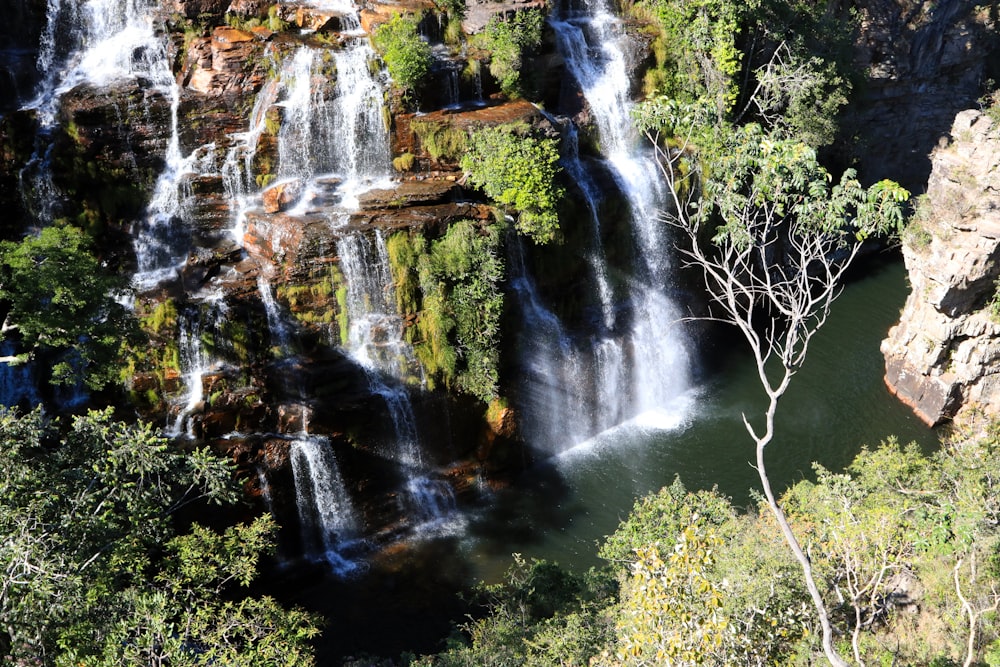 green leafed trees and waterfall