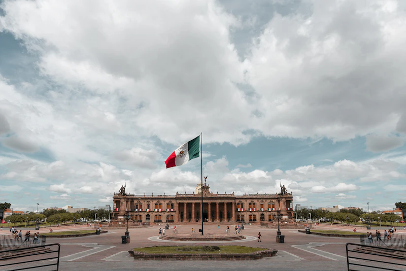 Best Artisan Bakeries in Mexico City for Bread Worth Getting Up Early For