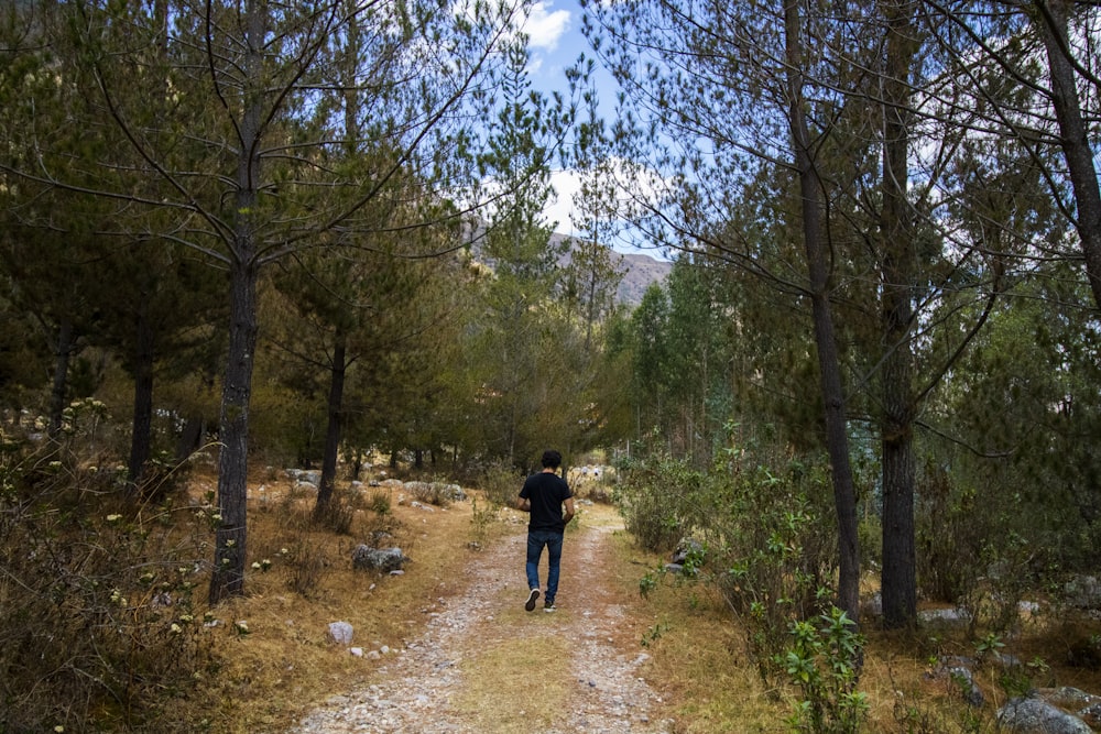 man walking on pathway surround by trees