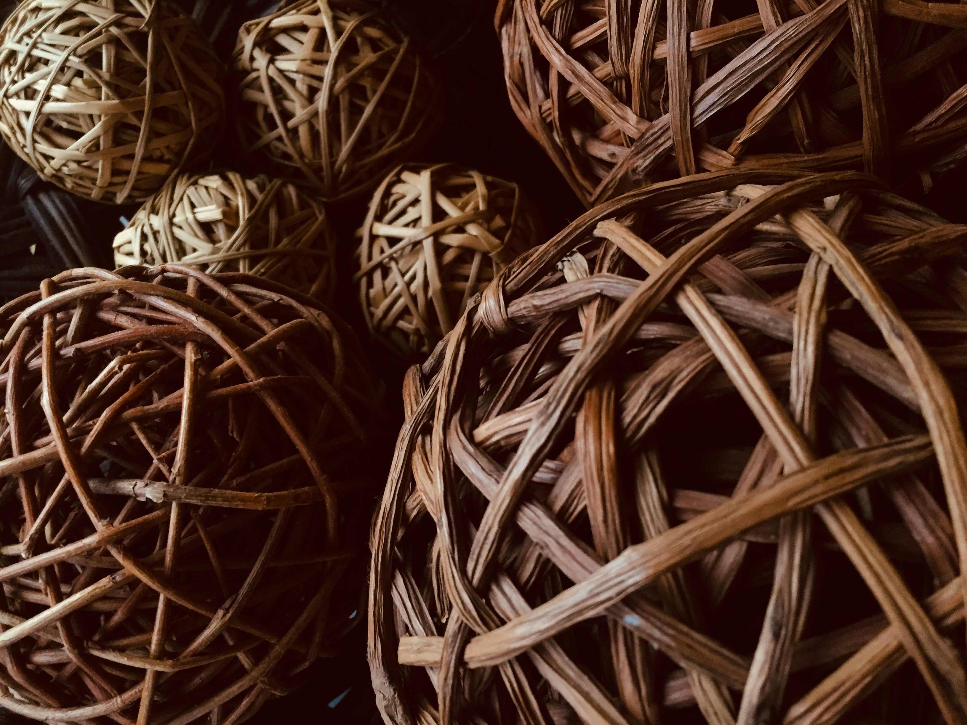 Photo by niftyartofficial1_