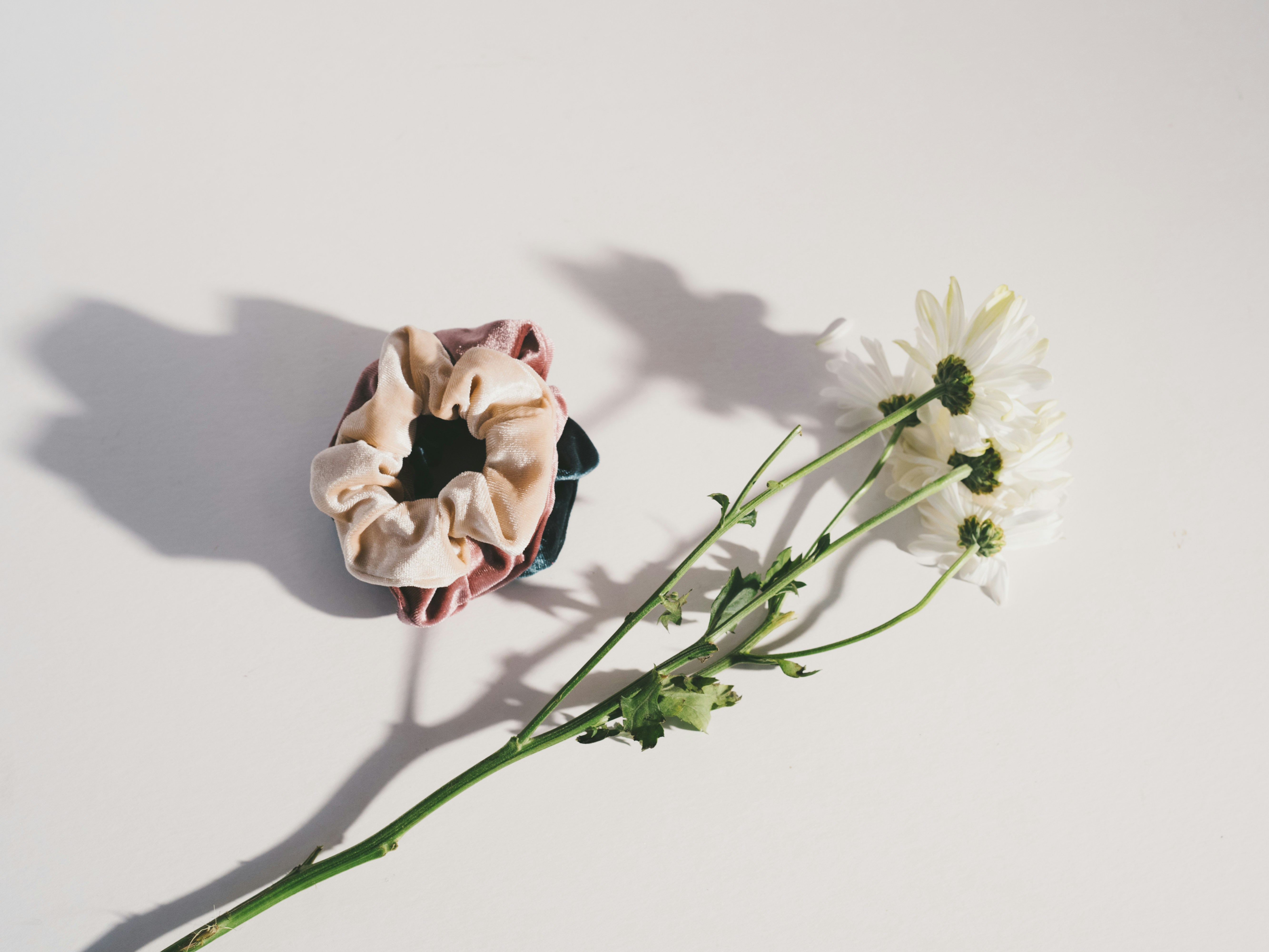 white petaled flowers on white surface
