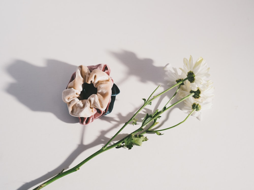 white petaled flowers on white surface