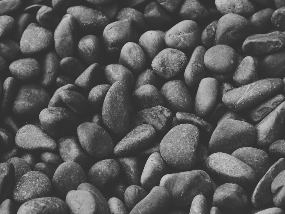 grayscale photography of stones