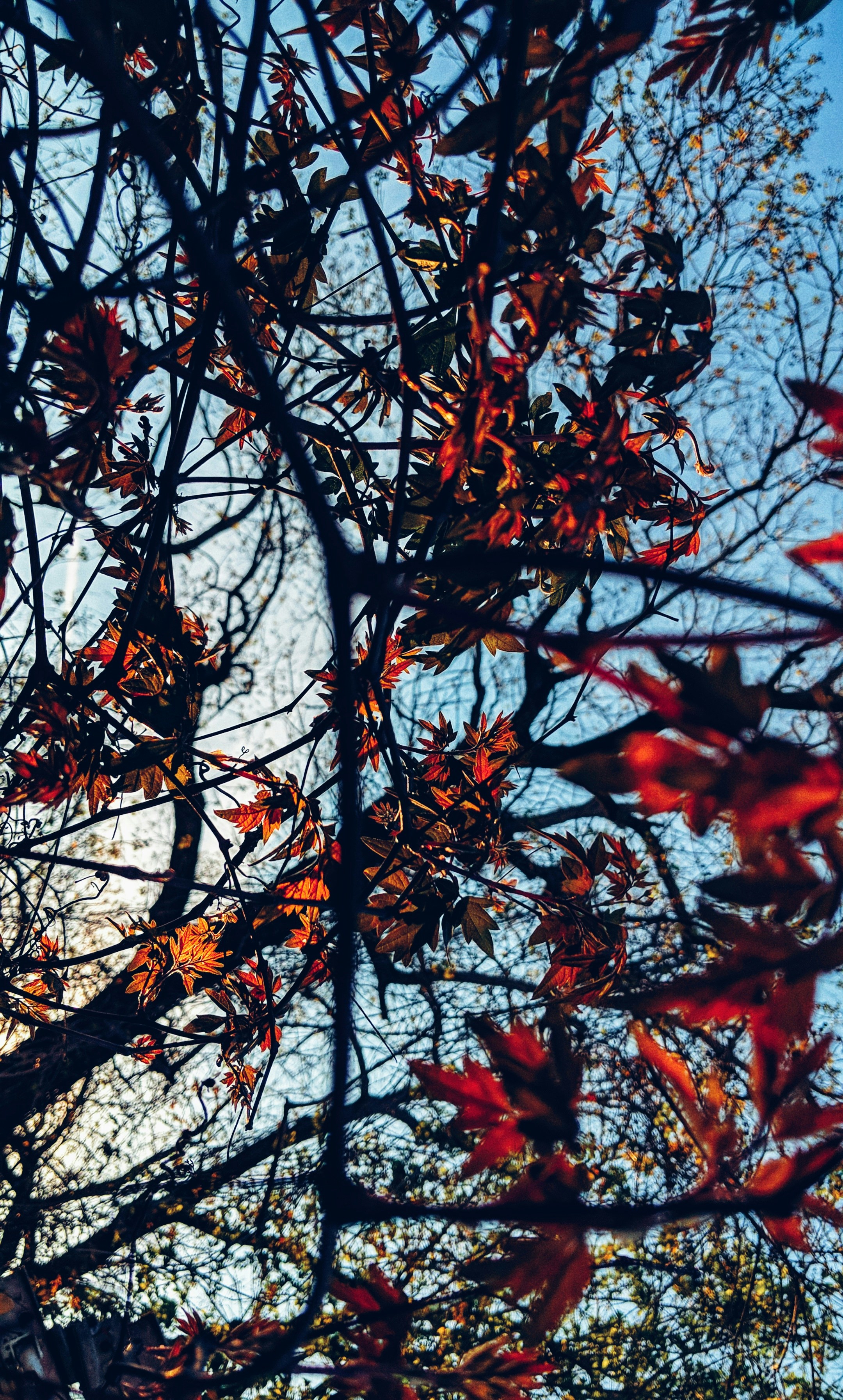 Photo by backwardsz
