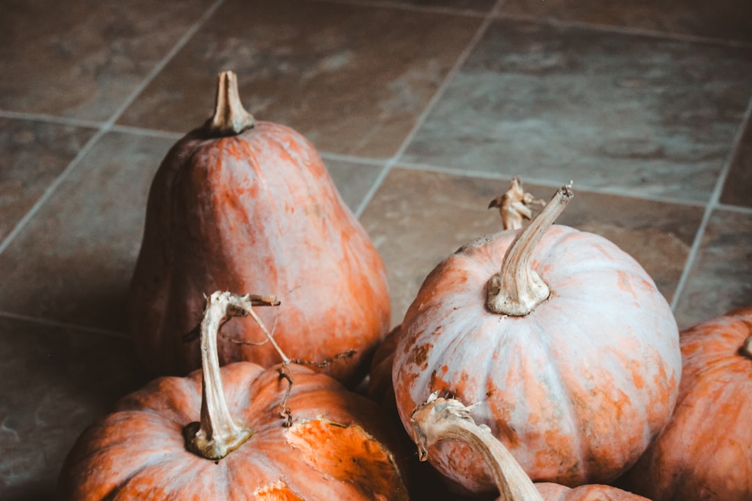 orange pumpkins on gray floor