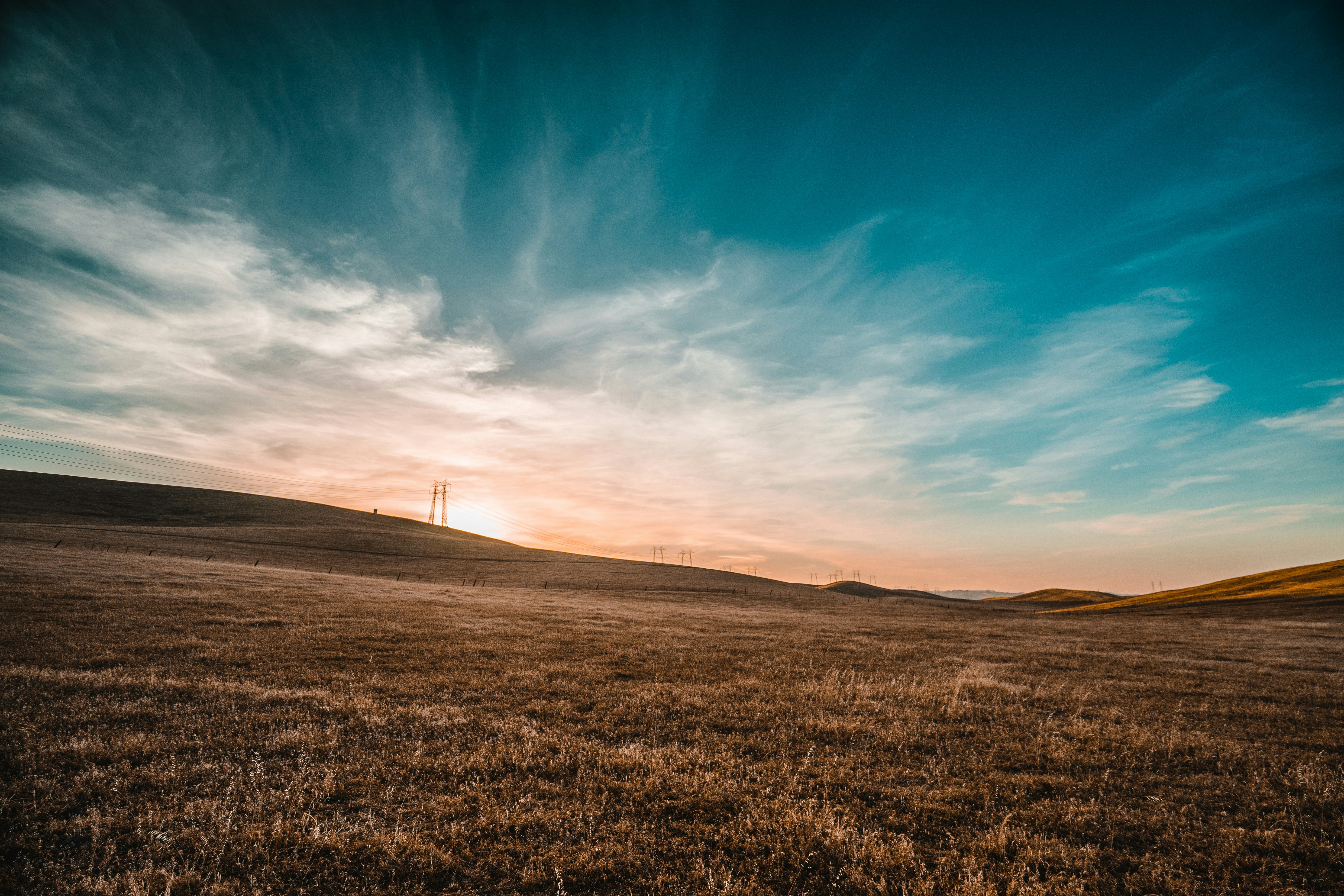 Open Field Pictures Download Free Images on Unsplash