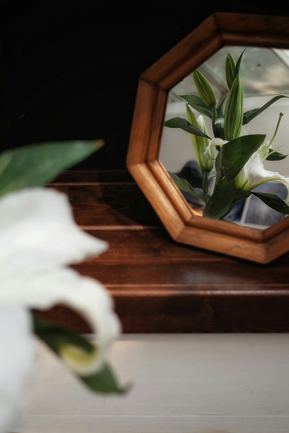 yellow and green flower on brown frames