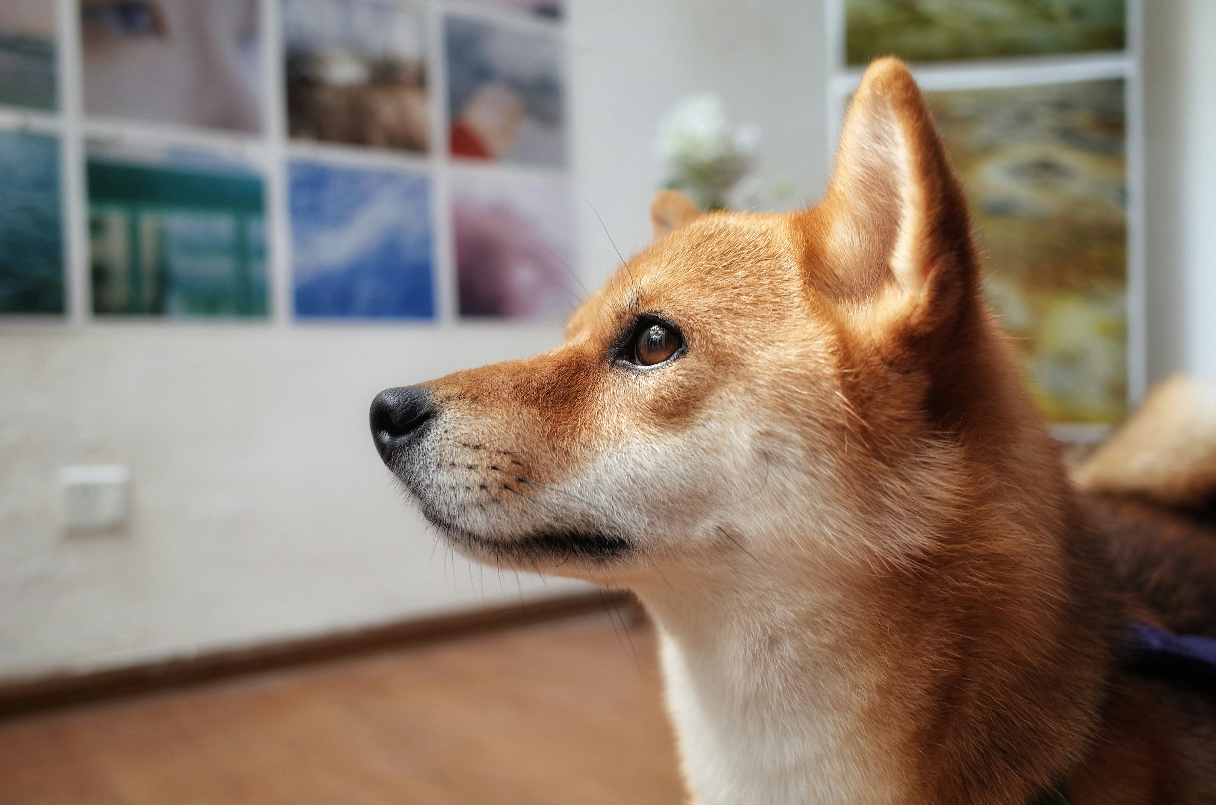 Photo by blsnki