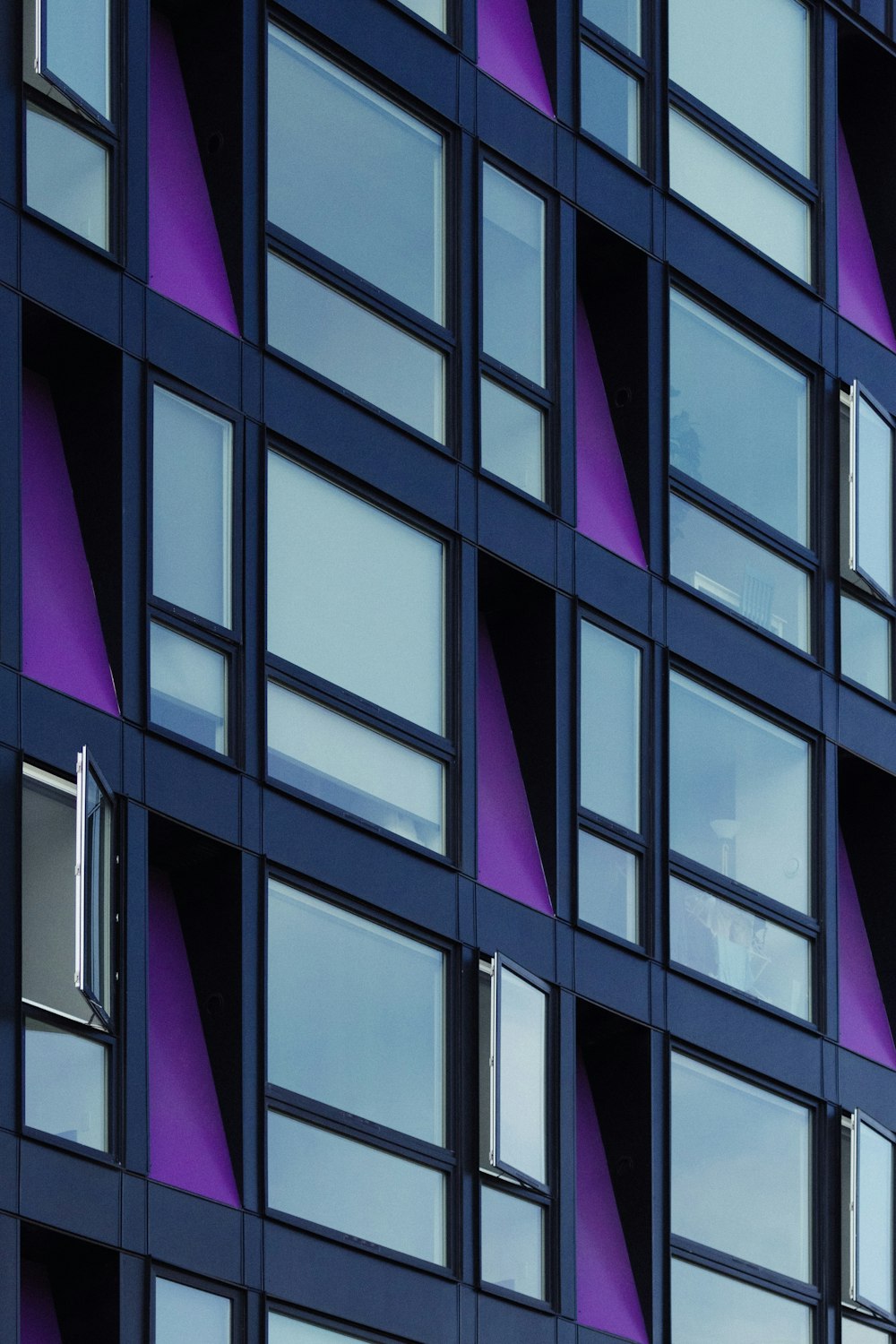 blue nad purple building
