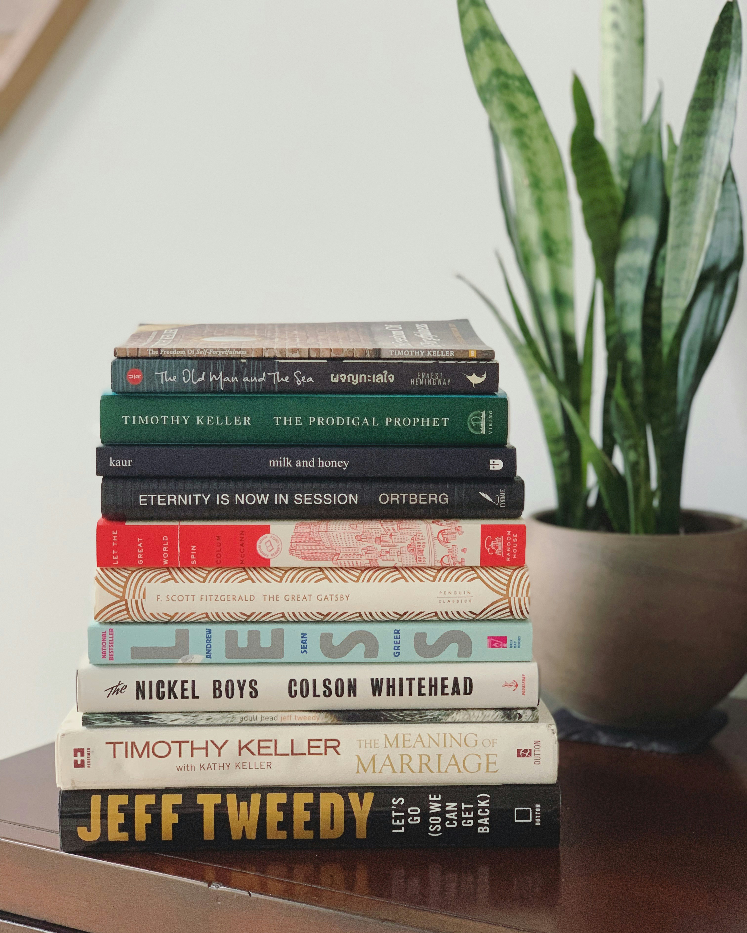 stack of books of different colors with plant behind 