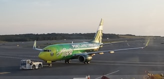 A brightly colored airplane with the logo and text 'Portland Timbers' is parked on a runway. The aircraft is green and yellow with additional branding. Adjacent to the plane is a small white towing vehicle. The runway is expansive with a view of distant trees and a clear sky.