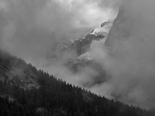 A mysterious foggy landscape hinting at new beginnings and hidden treasures.