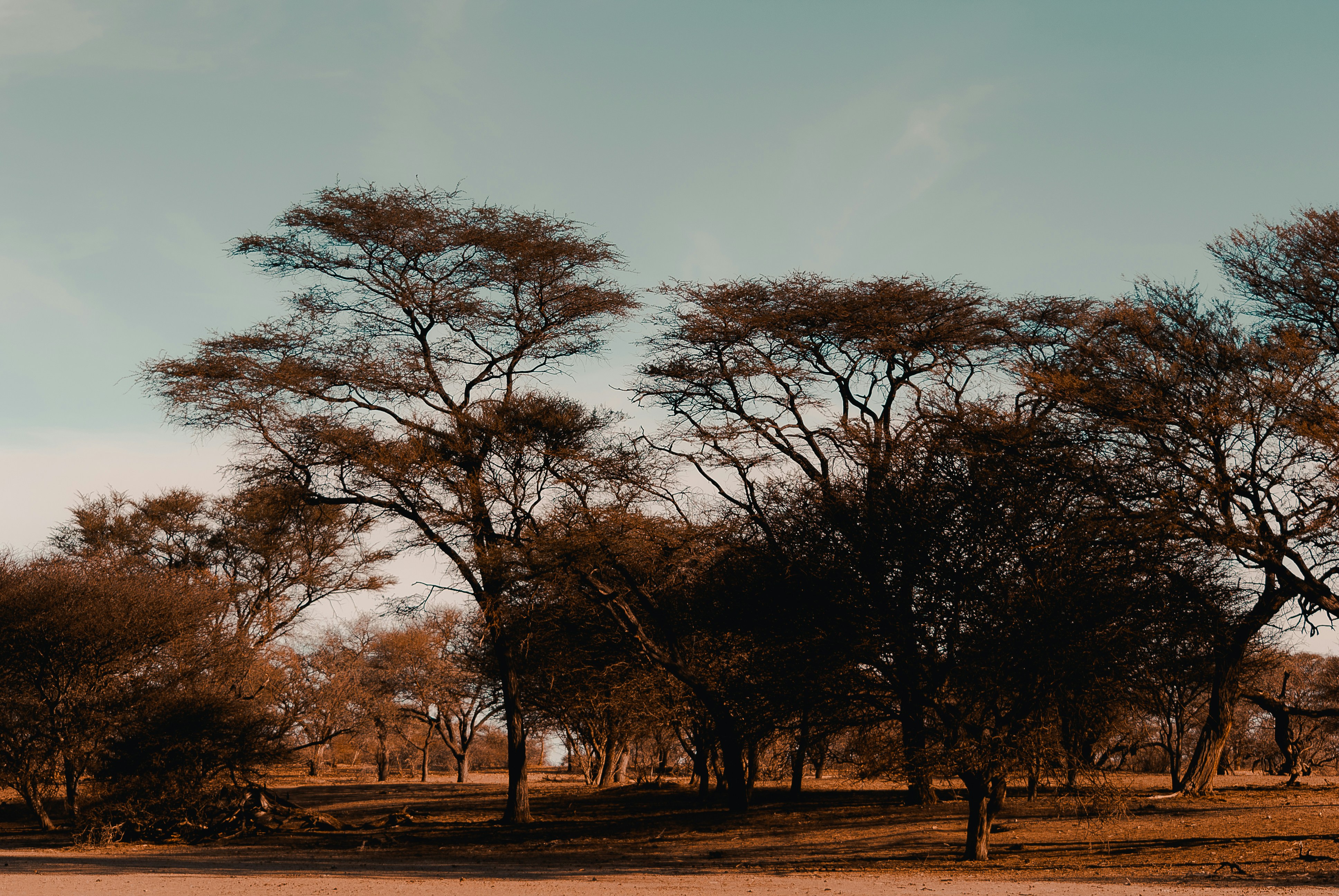 Photo by peinge_nakale995