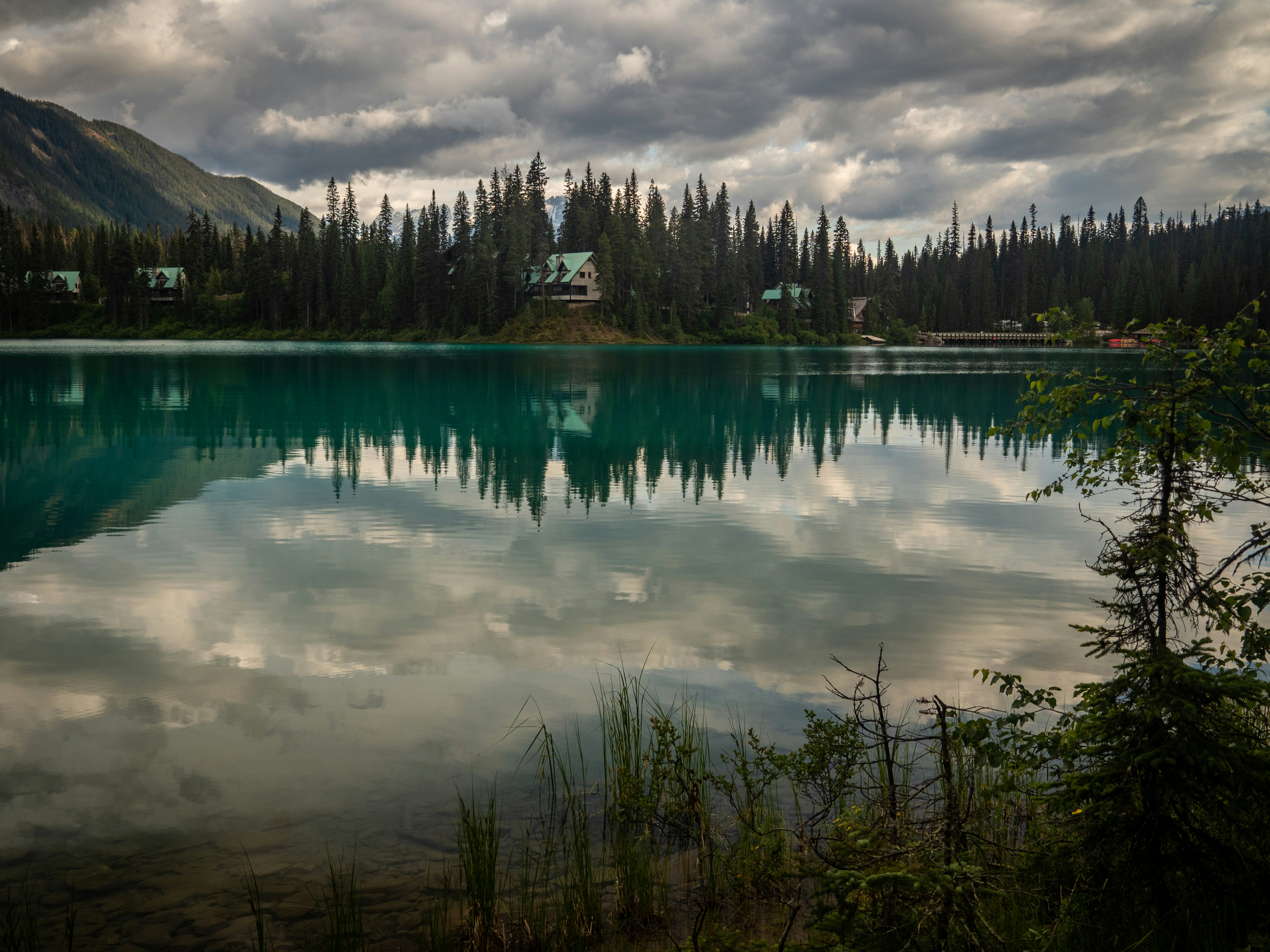 Photo by lderksen