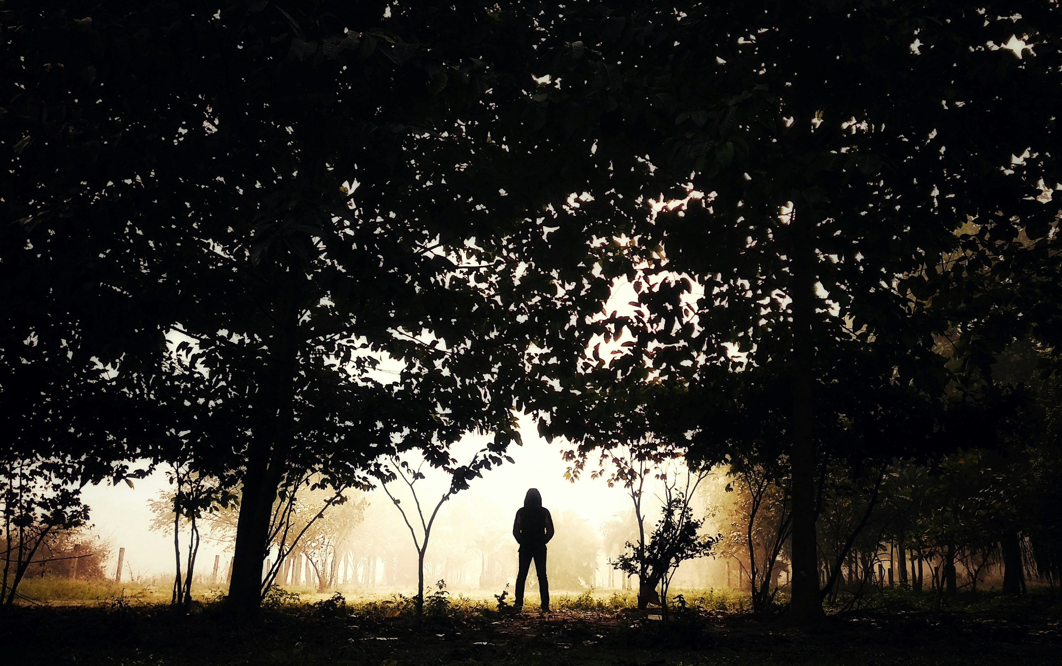 Photo by justankur