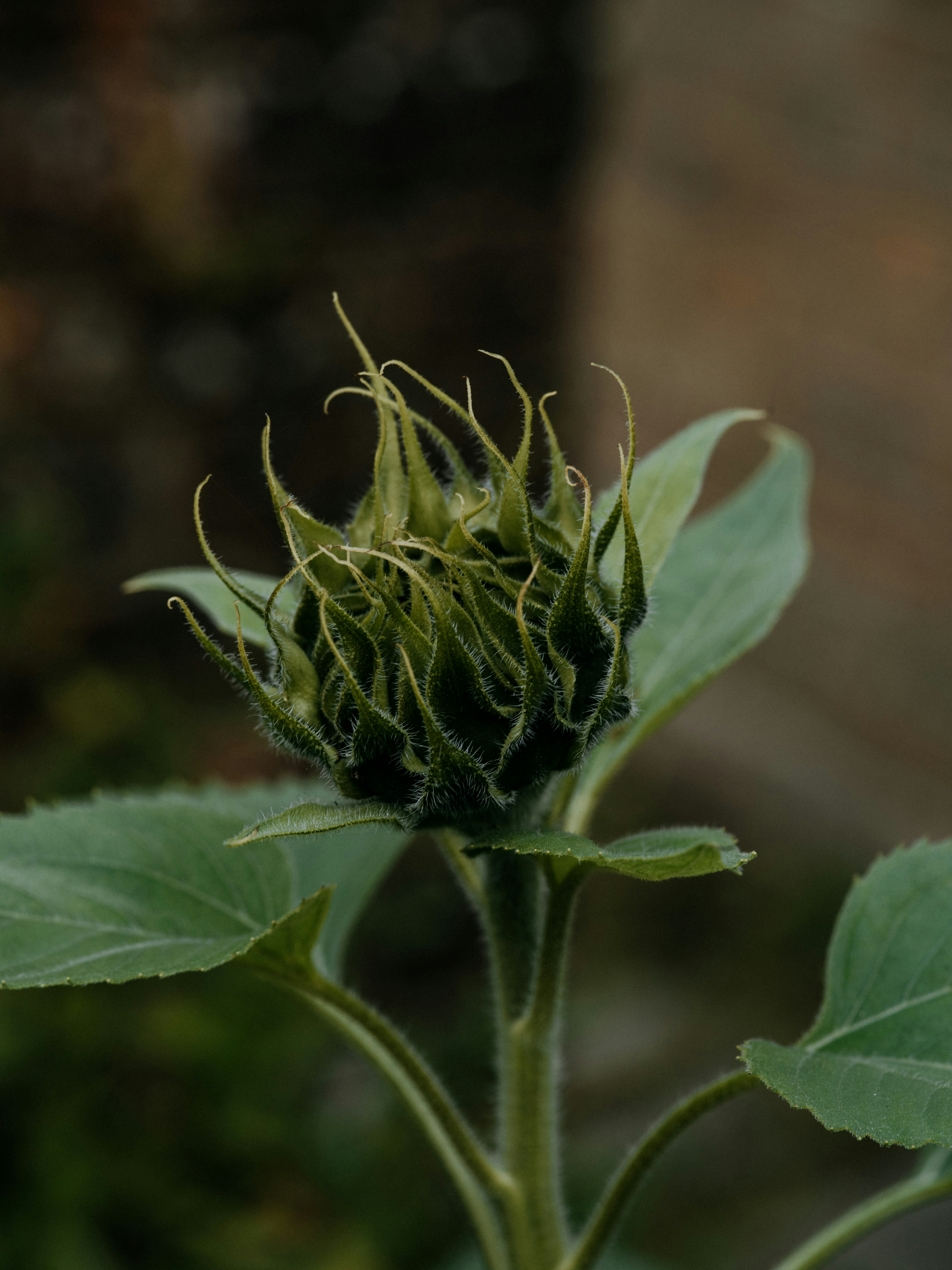 Photo by anniespratt