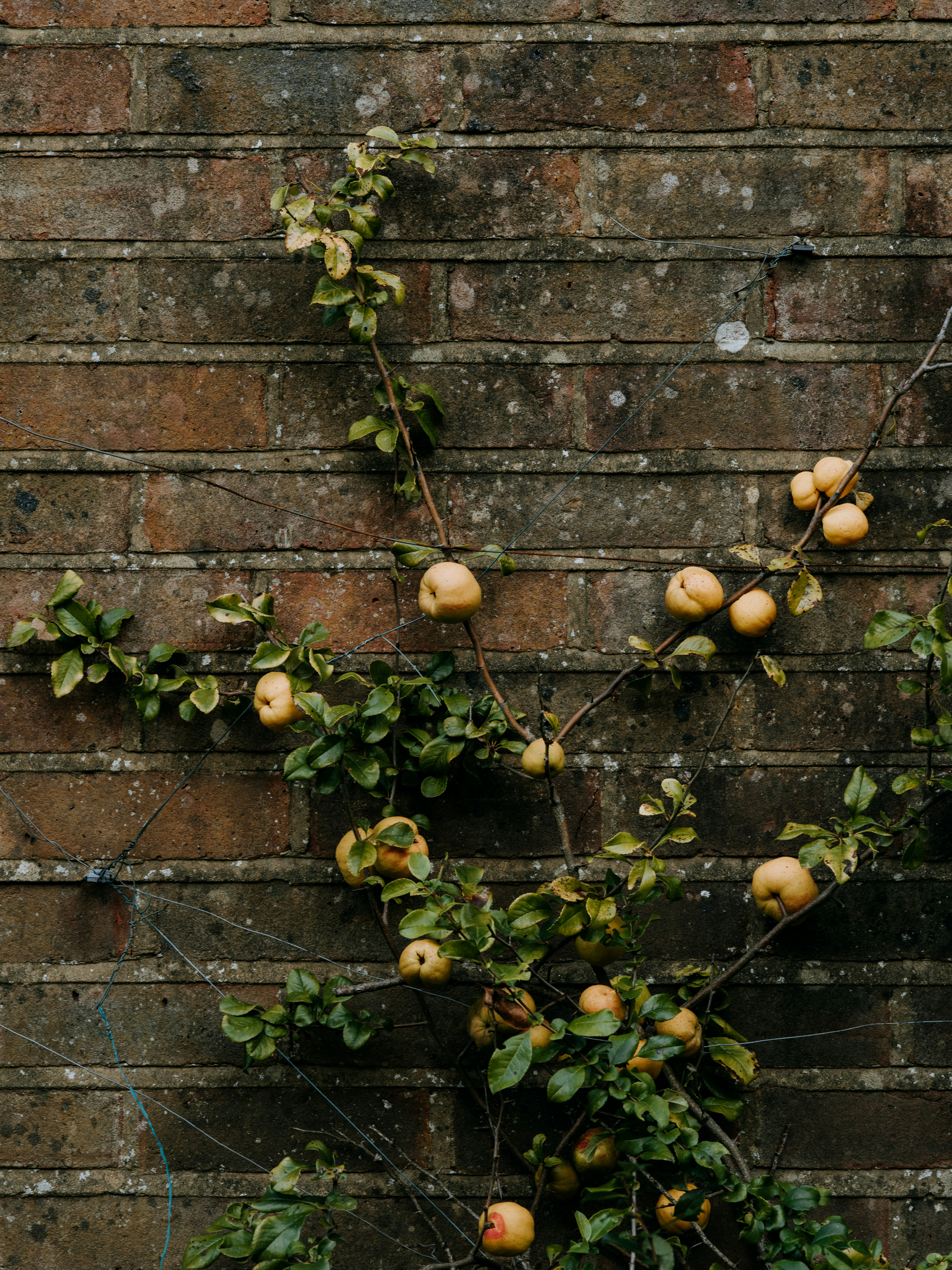 Photo by anniespratt