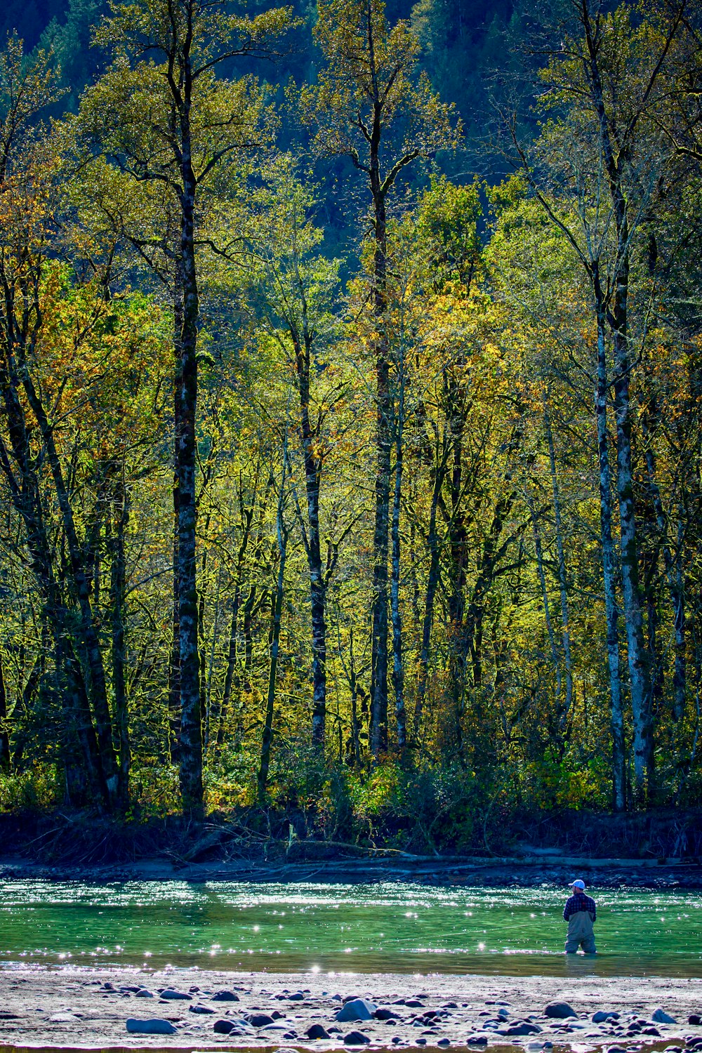 man in river facing trees