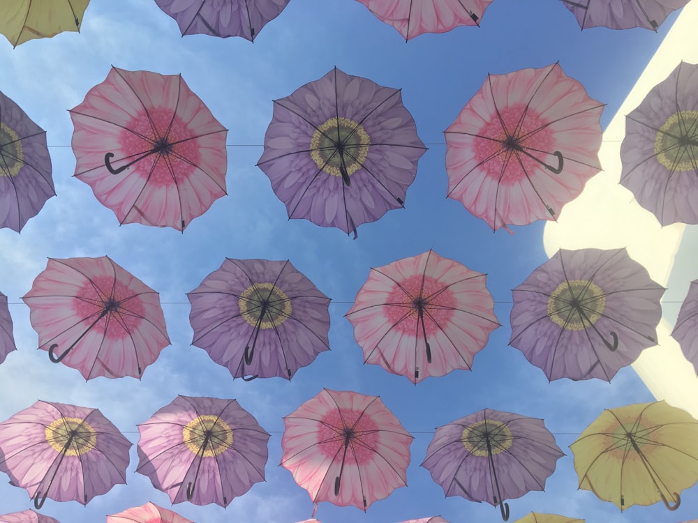 assorted-color umbrellas
