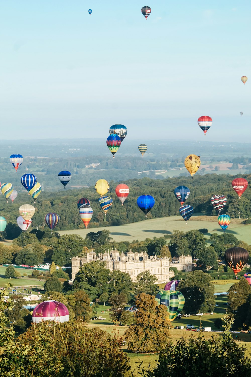 hot air balloons on air at daytime