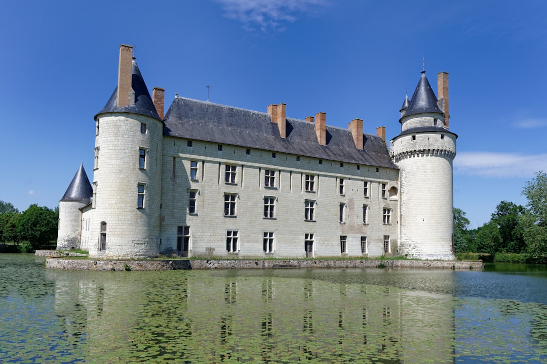 Château photo spot Château du Plessis-Bourré France