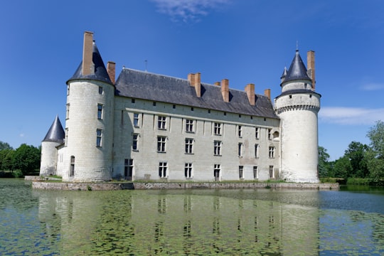 white and gray concrete building in Château du Plessis-Bourré France