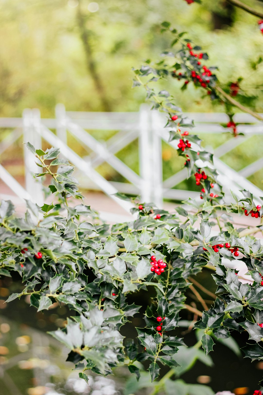 red flowers