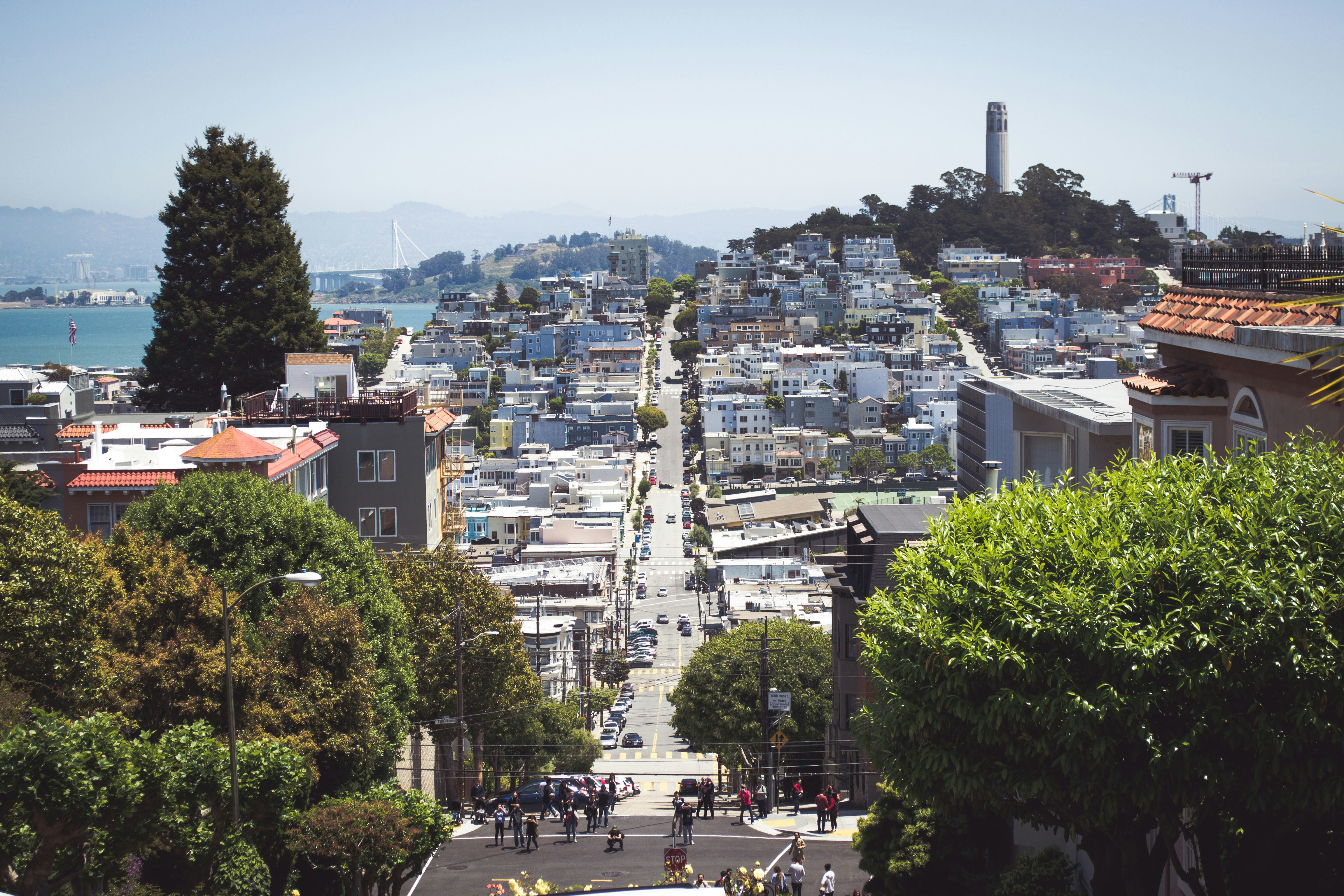 Photo by vojtechbruzek