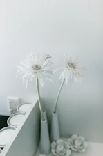 A minimalist luxury flower arrangement in a sleek white showroom.