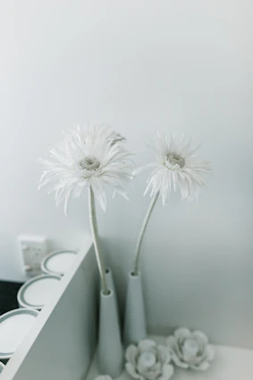 Minimalist luxury flower arrangement in a sleek white showroom with black and gold accents.