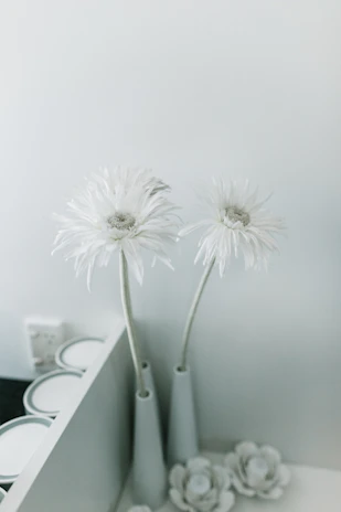 Minimalist white interior of Last Summer Florist showroom with elegant flower arrangements.