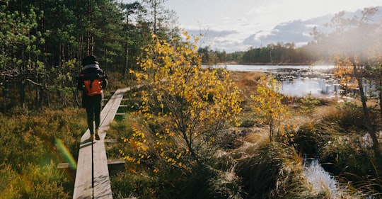 person standing beside green trees during daytime in Mukri Estonia