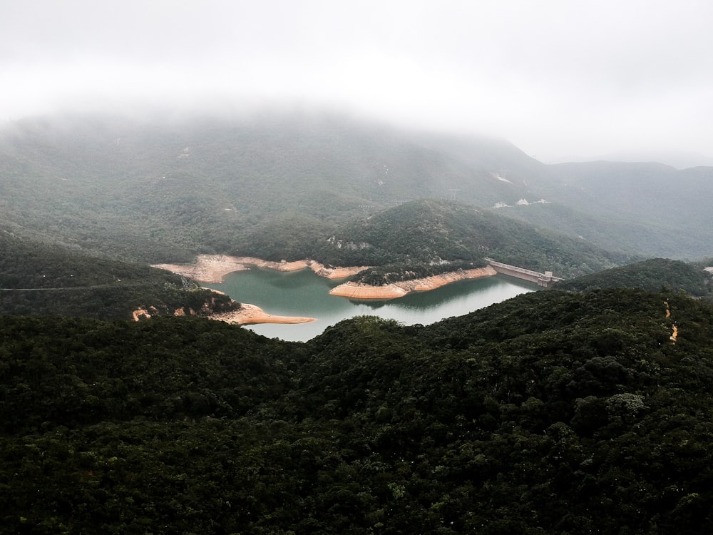 body of water surrounded by green trees at daytime