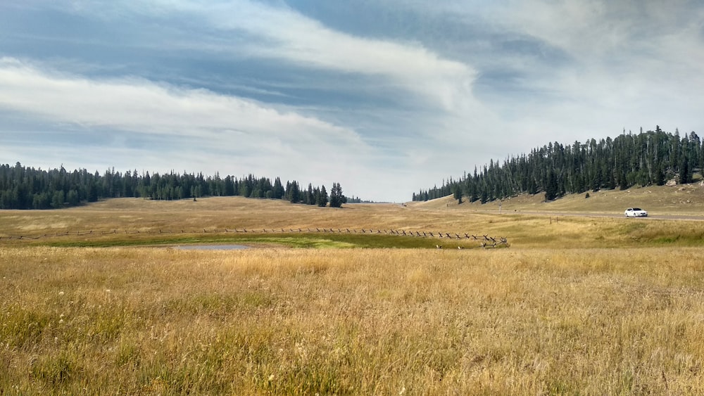 fotografia de campo aberto durante o dia