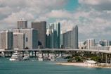 gray and white concrete high-rise buildings under white sky