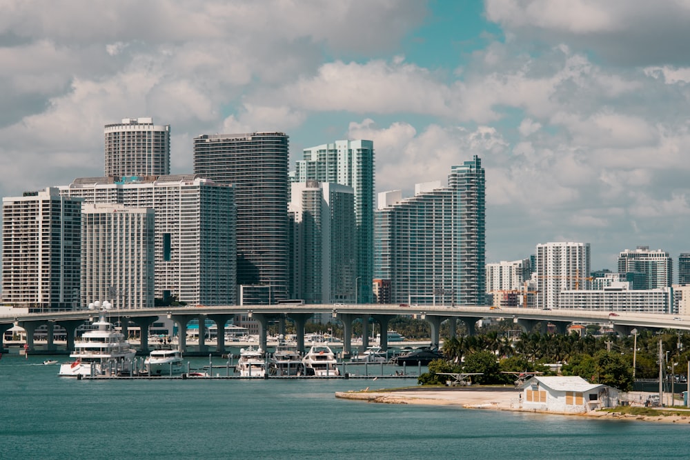 gray and white concrete high-rise buildings under white sky