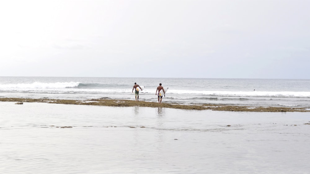 two men holding white surfboards walking on seashore