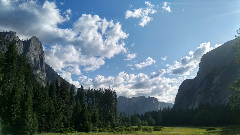 green trees and mountains photo