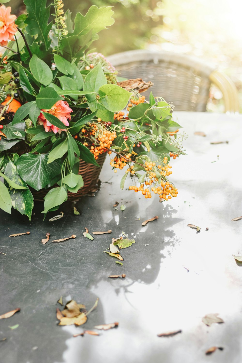 茶色の籐のバスケットに緑の植物