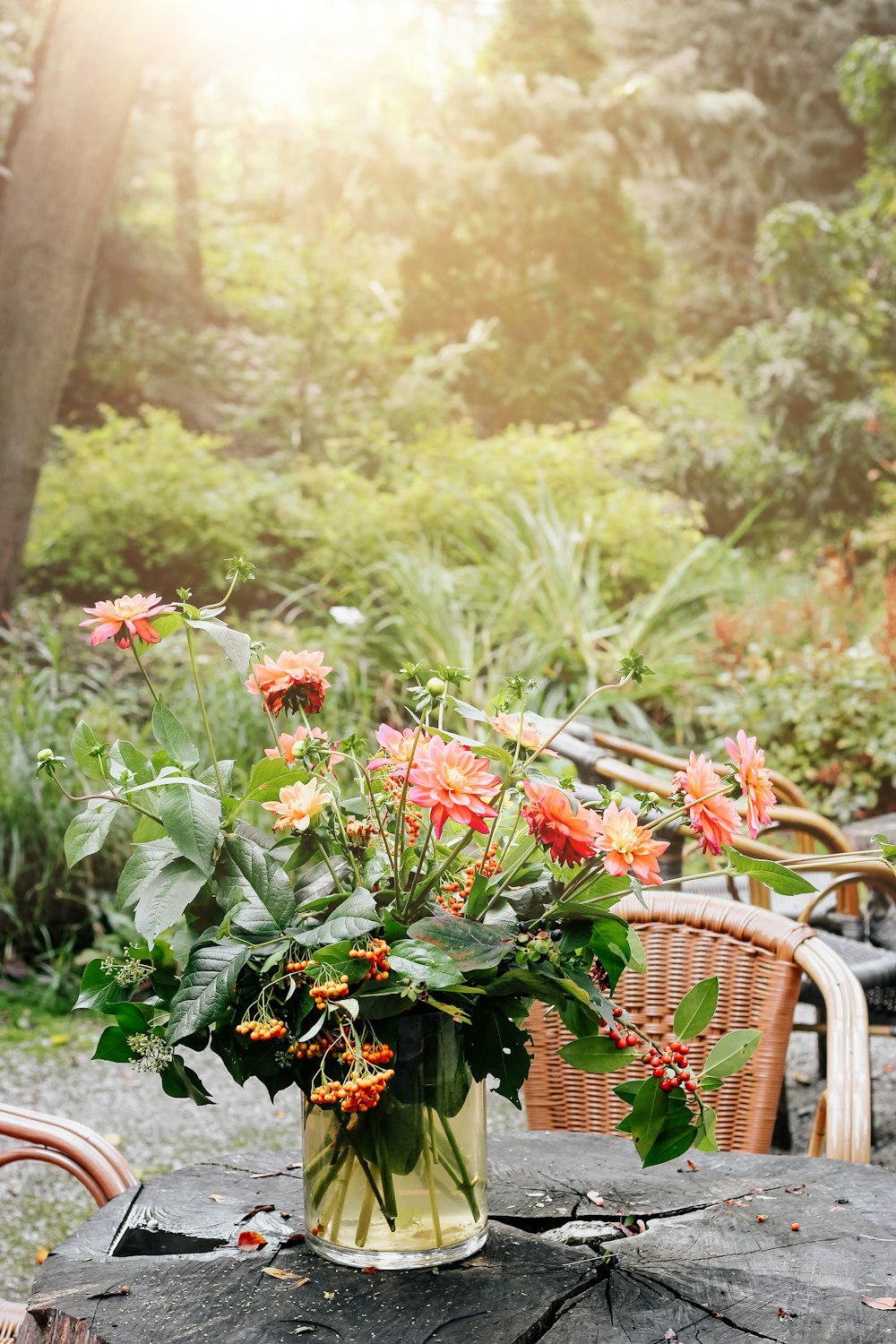 red flowers with green leaves