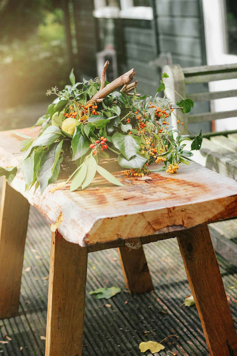 leaves and tree branch on wooden bench