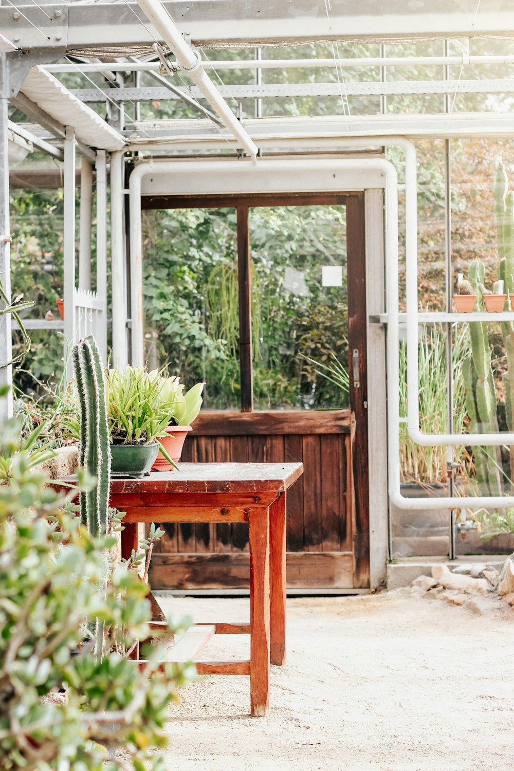 green and orange pot on brown wooden table