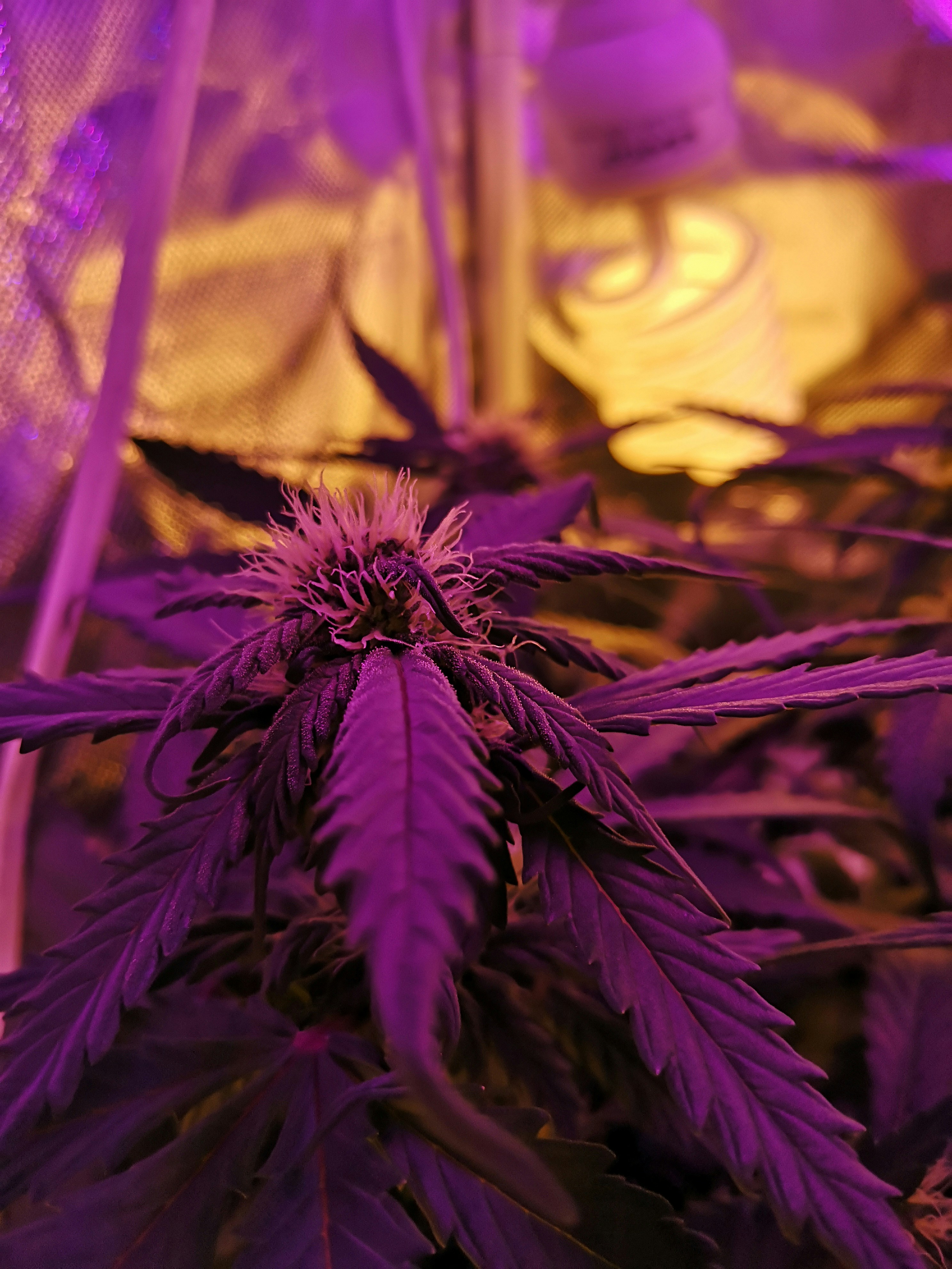 Photo by scottwpomfret