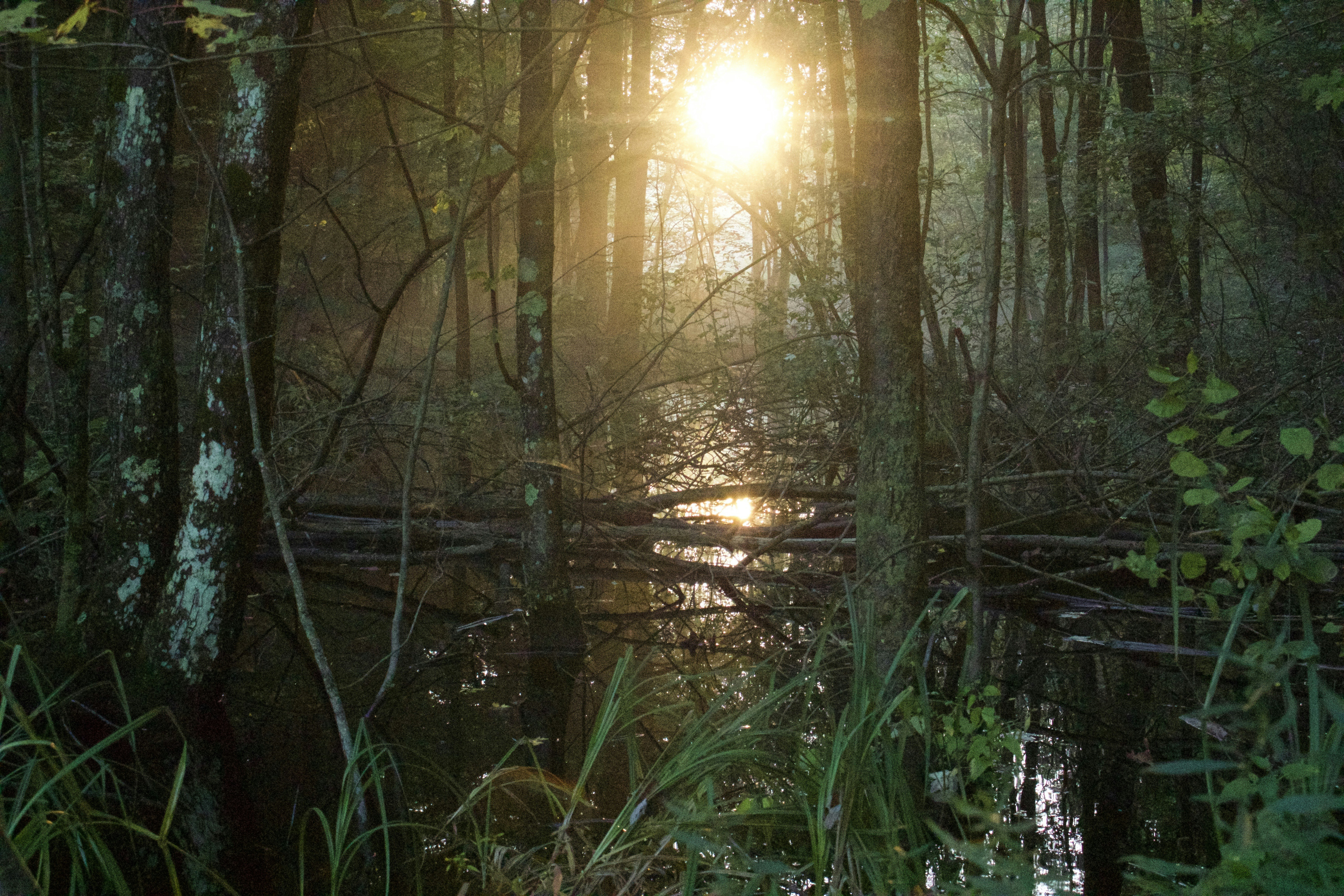 Photo by chadrickbrown1999